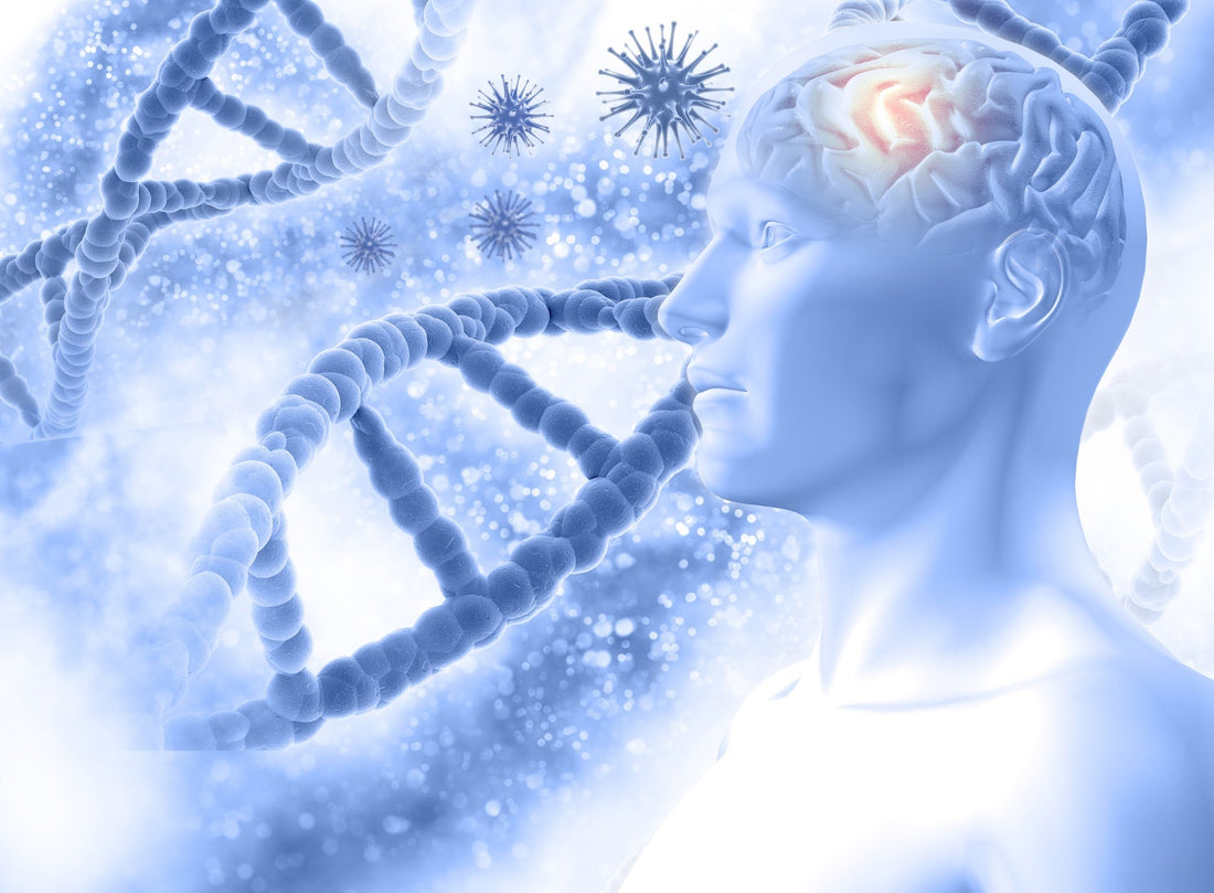 Gut-Brain Axis: Current Research and Implications for Dietitians