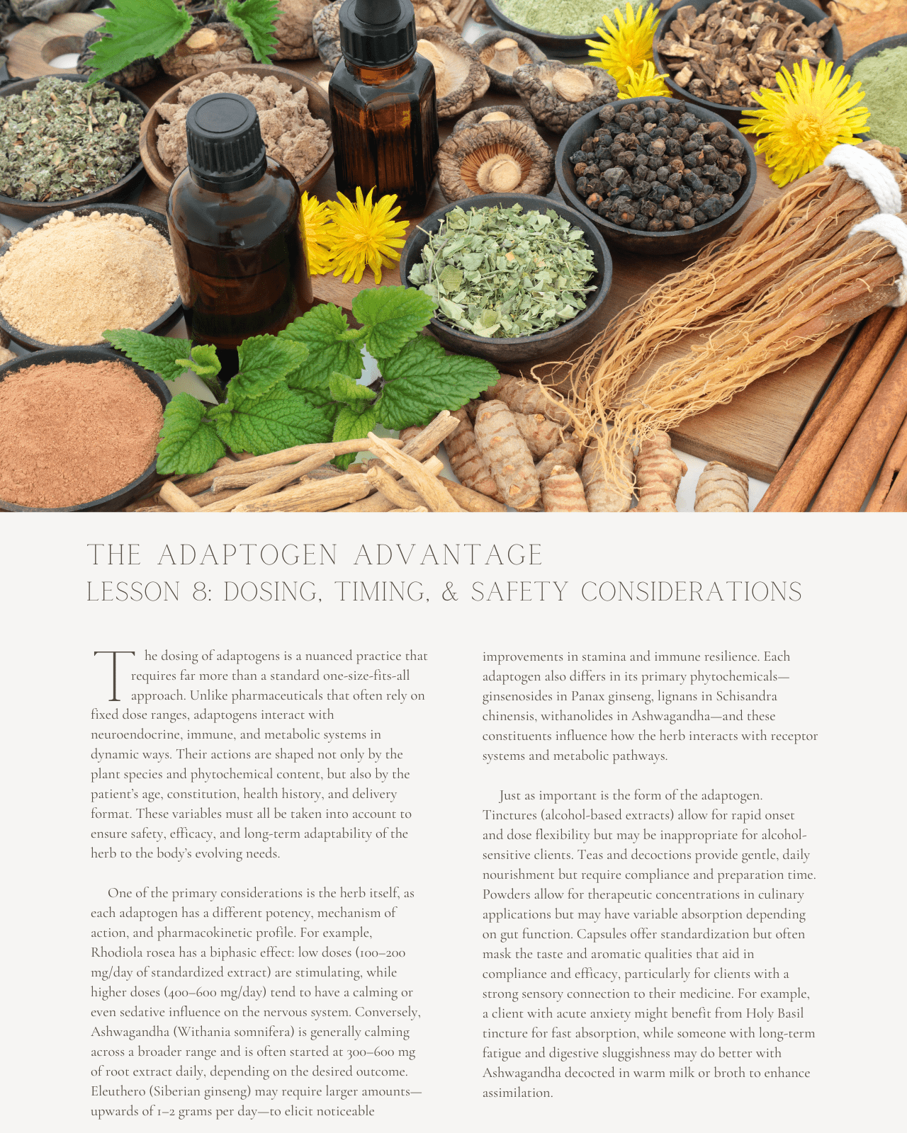The Adaptogen Advantage: Food-Based Medicine for Mind, Body, and Balance - Dietitian CPE Continuing Professional Education, 15 CPEU [All Dietitians]