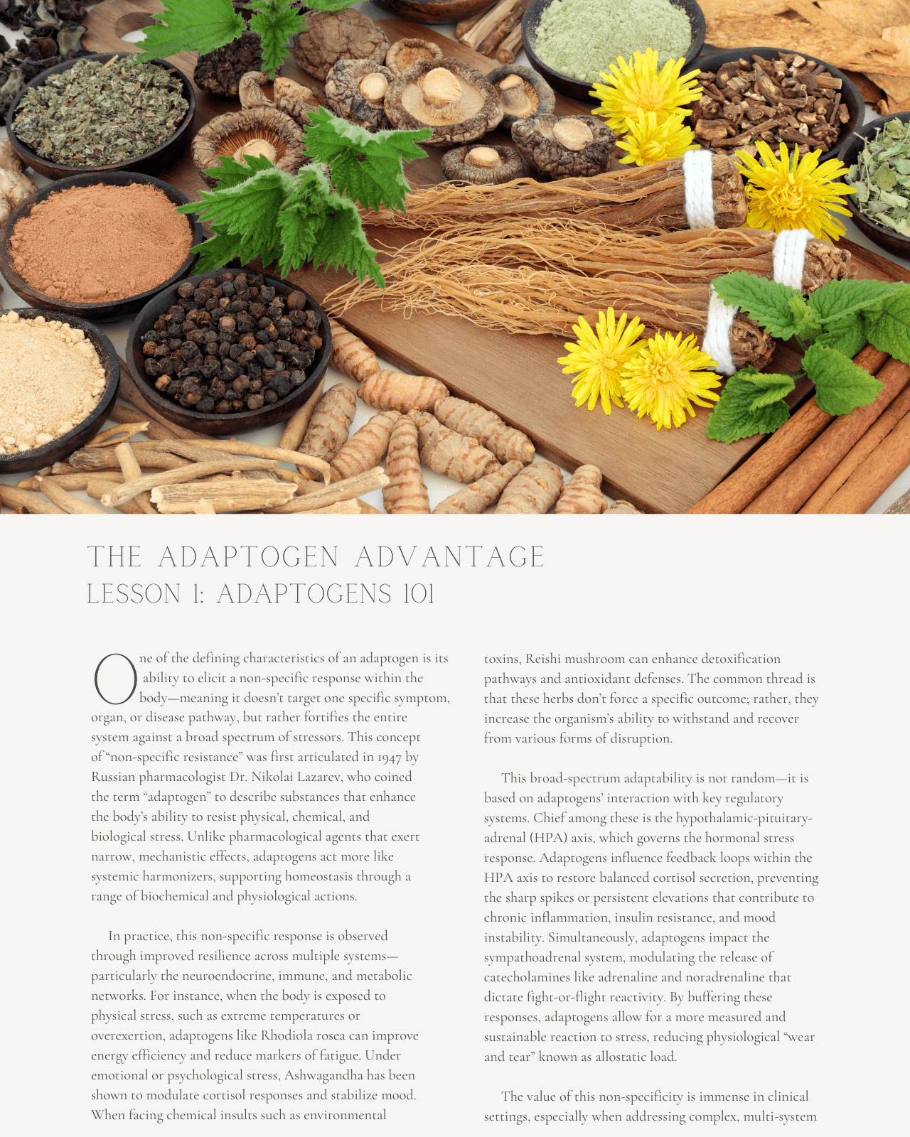 The Adaptogen Advantage: Food-Based Medicine for Mind, Body, and Balance - Dietitian CPE Continuing Professional Education, 15 CPEU [All Dietitians]