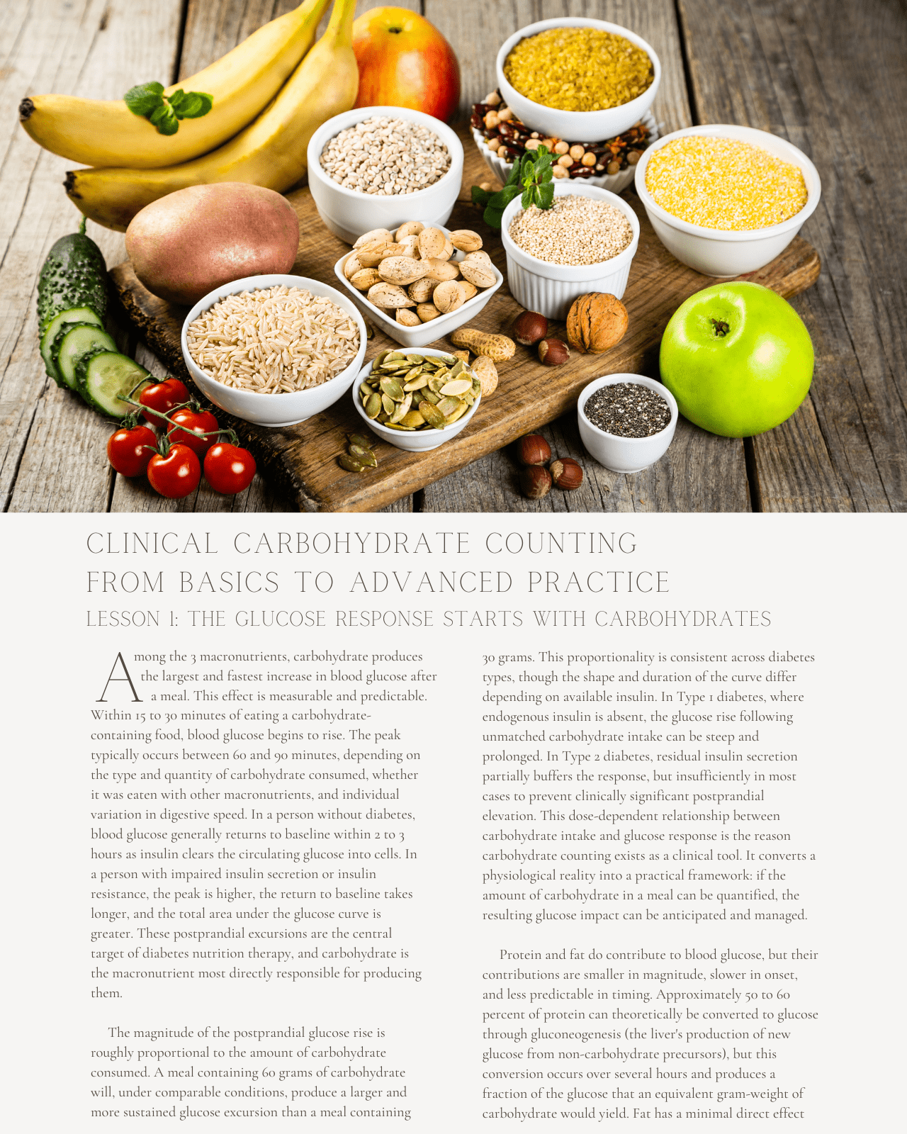 Carbs Don't Lie: Clinical Carbohydrate Counting from Basics to Advanced Practice - Dietitian CPE Continuing Professional Education, 8 CE Hours [All Dietitians]