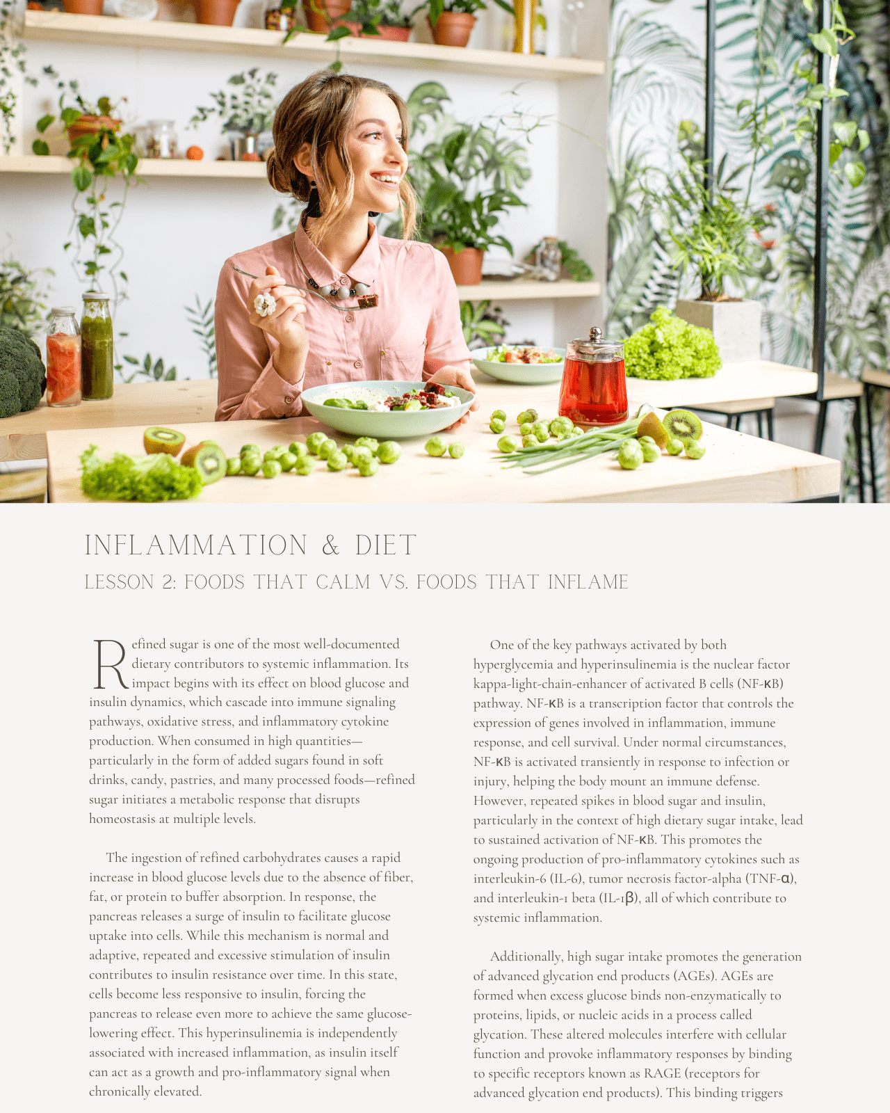 Inflammation & Diet: The Role of Nutrition in Chronic Disease Prevention - Dietitian CPE Continuing Professional Education, 12 CEU [All Dietitians]