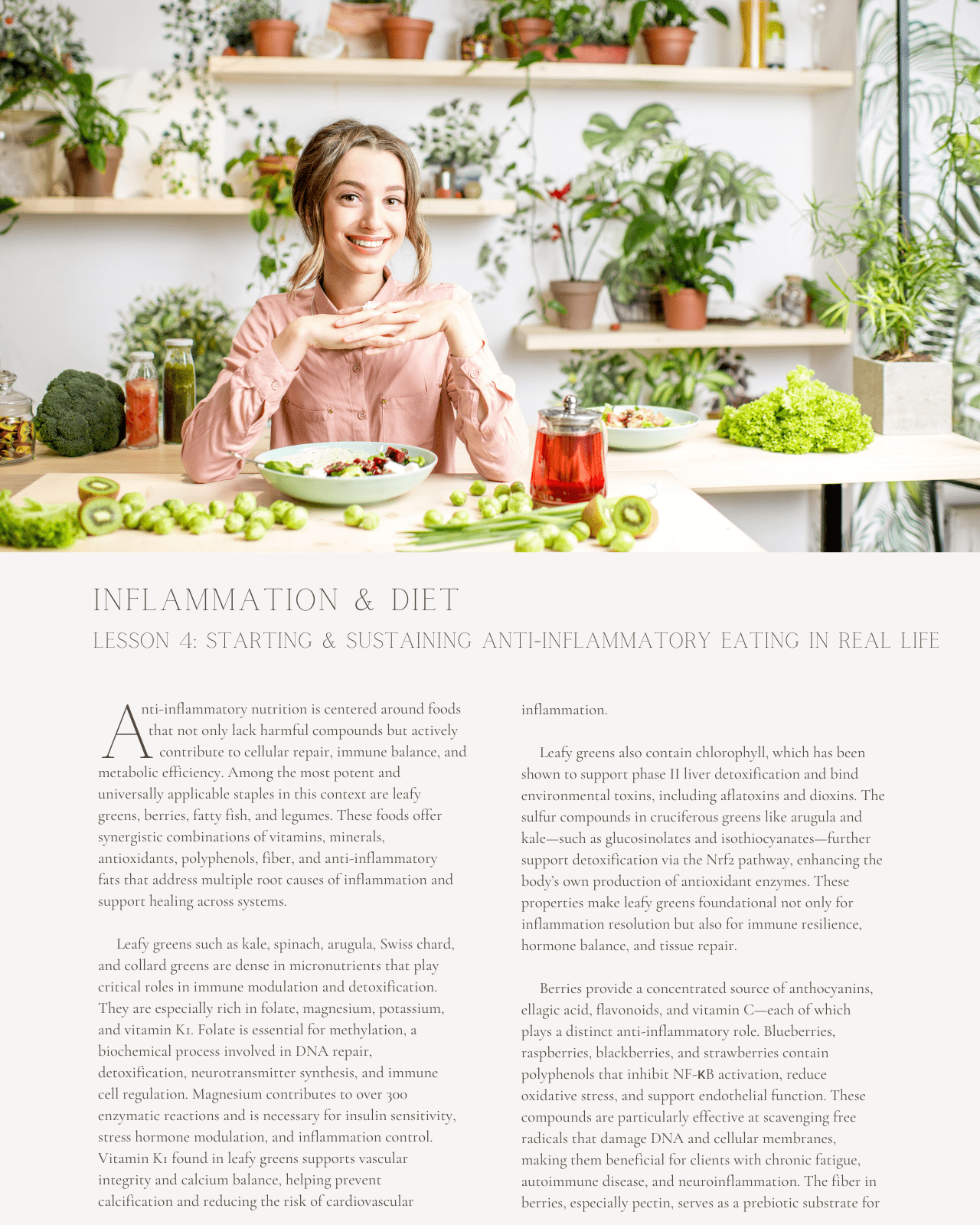 Inflammation & Diet: The Role of Nutrition in Chronic Disease Prevention - Dietitian CPE Continuing Professional Education, 12 CEU [All Dietitians]