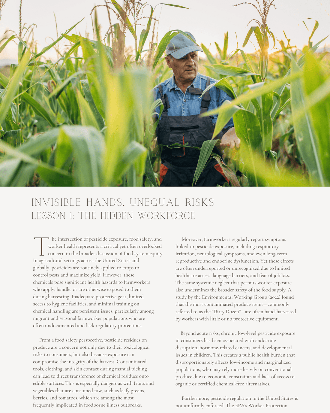 Invisible Hands, Unequal Risks: Food Safety, Labor, and Equity in the ...