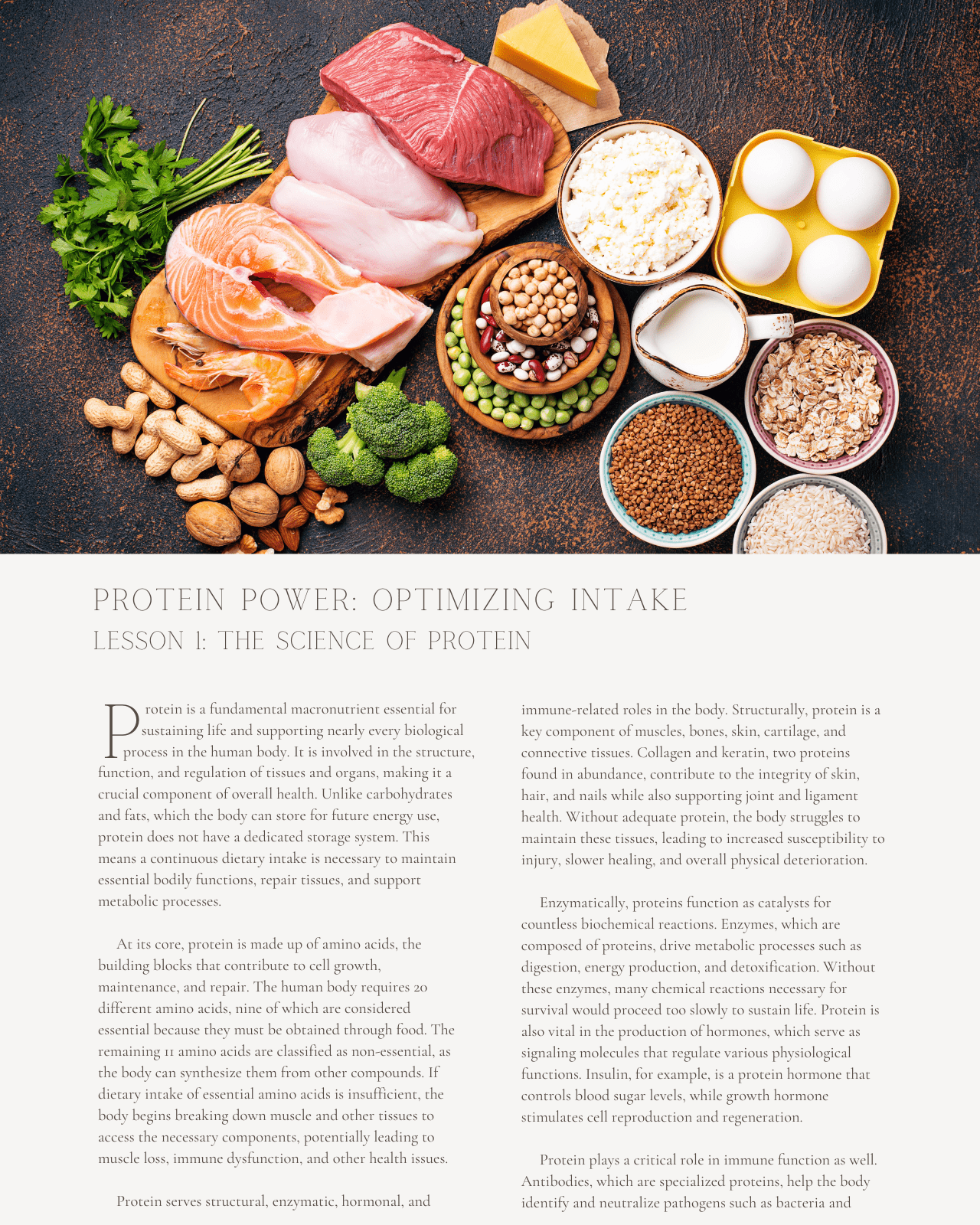 Protein Power: Optimizing Intake for Different Life Stages - Dietitian CPE Continuing Professional Education, 5 CPEU [All Dietitians]